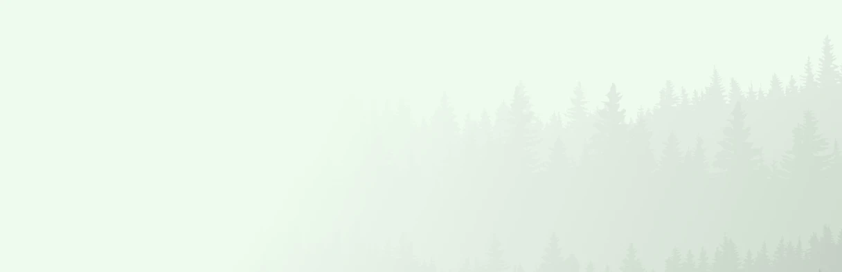 A minimalist background image featuring faint outlines of evergreen trees in a soft, misty green colour gradient.